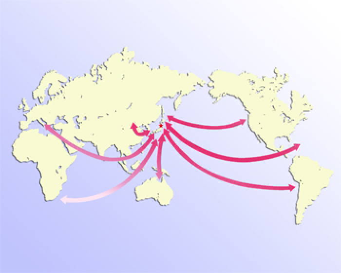 Global Network of Container Liner Services